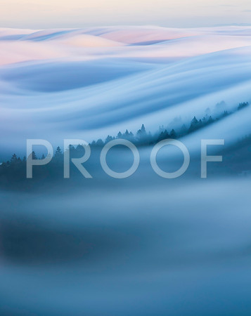 The Wave
