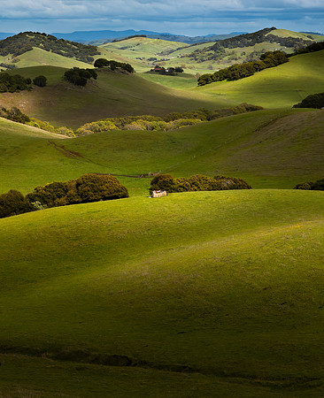 SonomaGreen2020