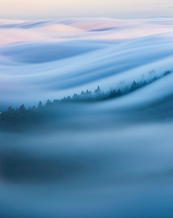 TamFog2019_04