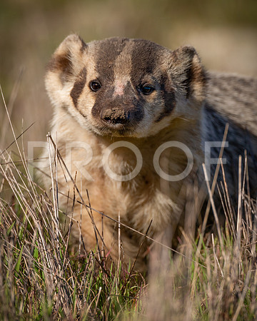 8P0A6417-Edit