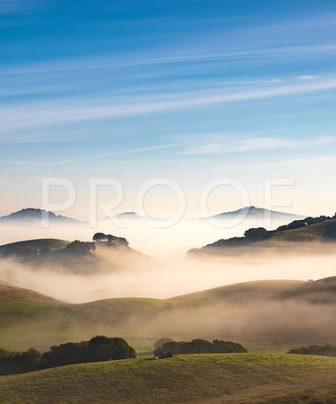 Good Morning Sonoma