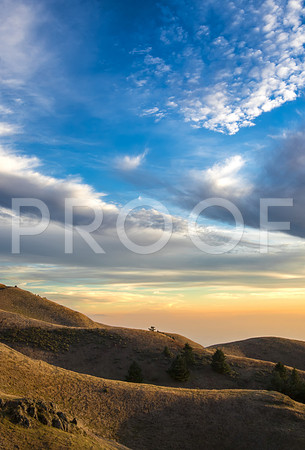 Summers on Mt. Tam