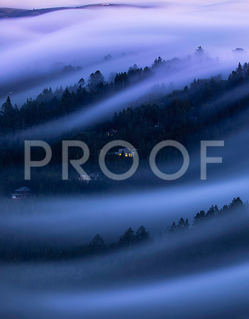 Tam Fog Wave Spring