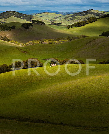 Sonoma Hills in Spring