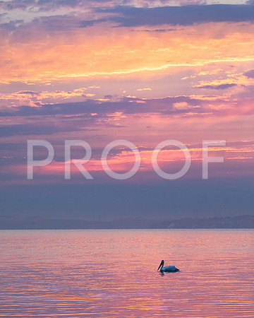 Magical Sunrises