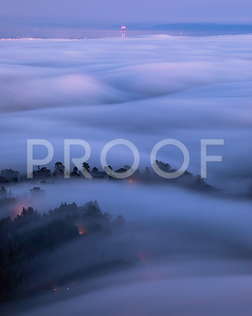 Sutro Tower Dreams